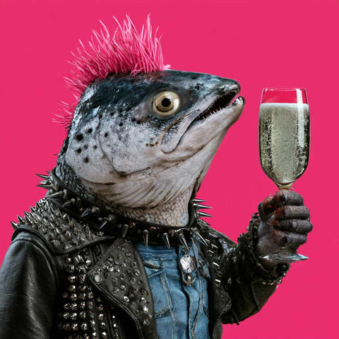 Degustazione vini e cicchetti "no fish"