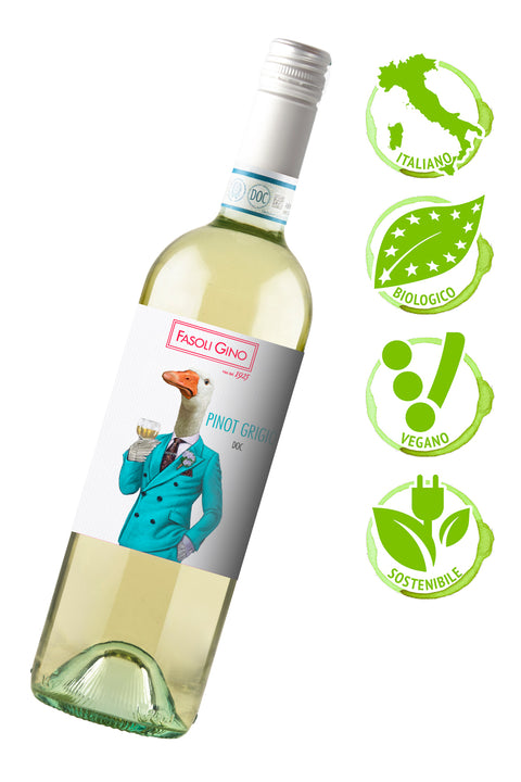 Pinot Grigio DOC